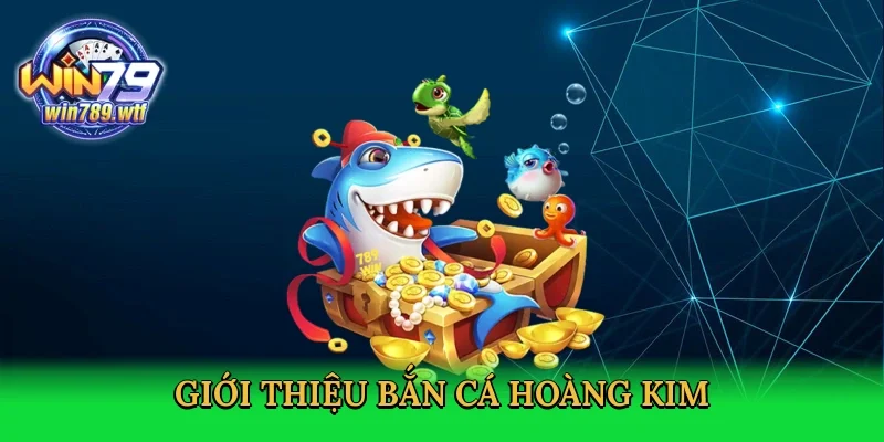 gioi-thieu-ban-ca-hoang-kim-2