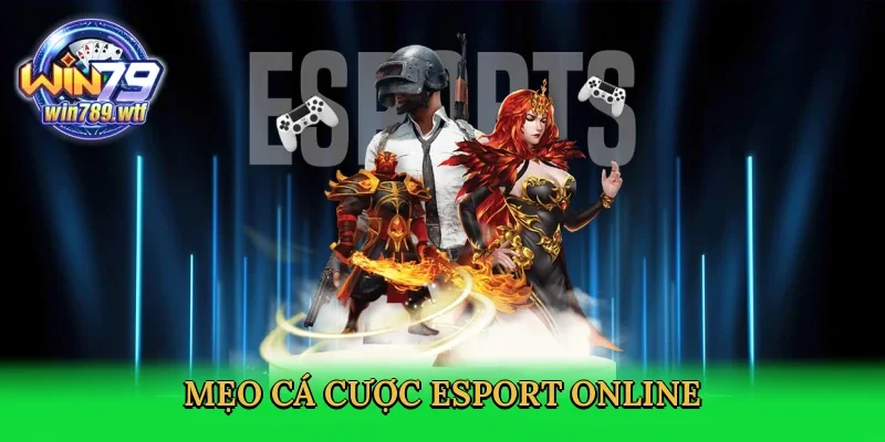meo-ca-cuoc-esport-online-4