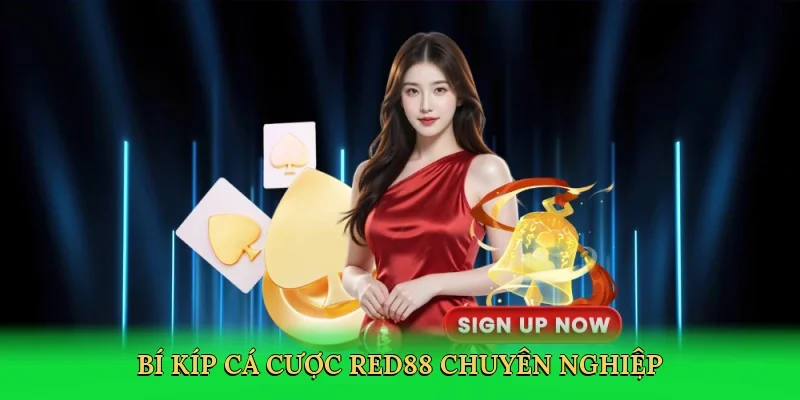 Bí kíp cá cược RED88 chuyên nghiệp