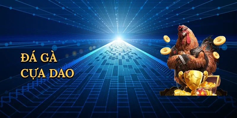 Đá gà cựa dao