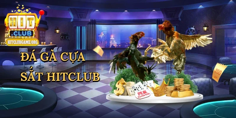 da-ga-cua-sat-hitclub-1