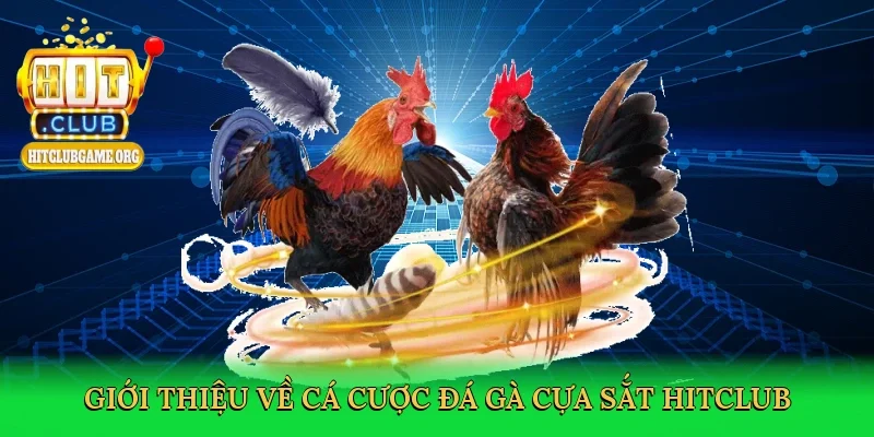 gioi-thieu-ve-ca-cuoc-da-ga-cua-sat-hitclub-2
