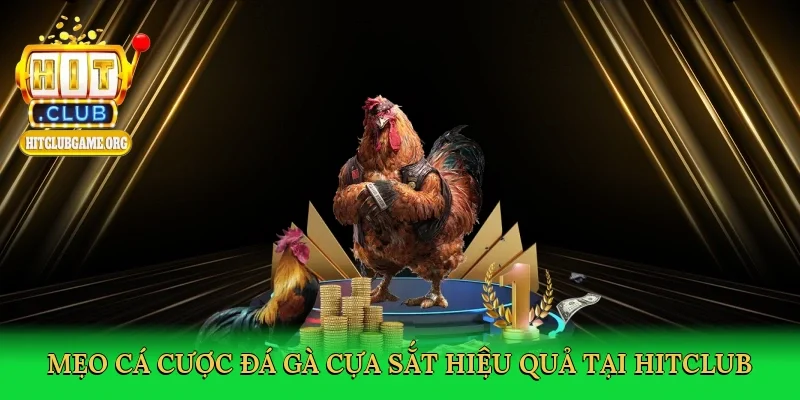 meo-ca-cuoc-da-ga-cua-sat-hieu-qua-tai-hitclub-4