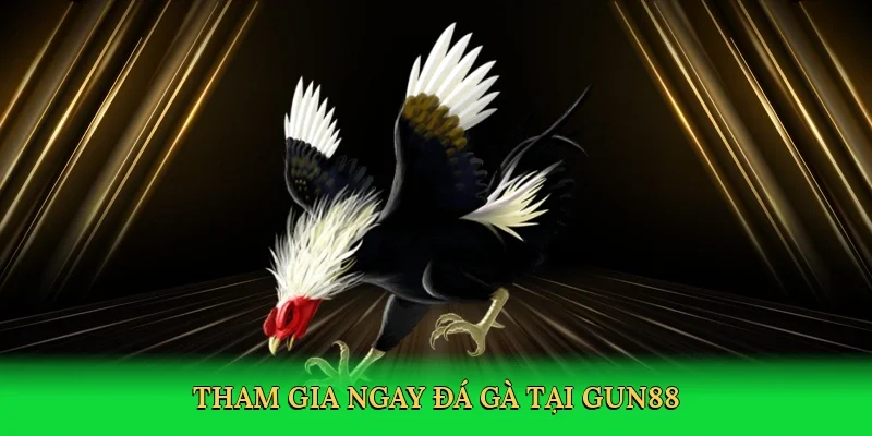 Tham gia ngay đá gà tại Gun88