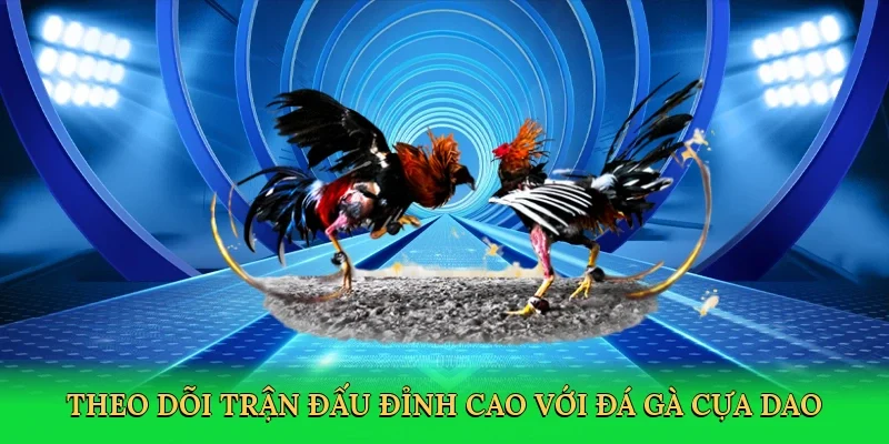 Theo dõi trận đấu đỉnh cao với Đá gà cựa dao