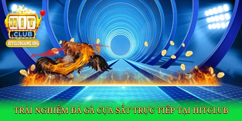 trai-nghiem-da-ga-cua-sat-truc-tiep-tai-hitclub-3